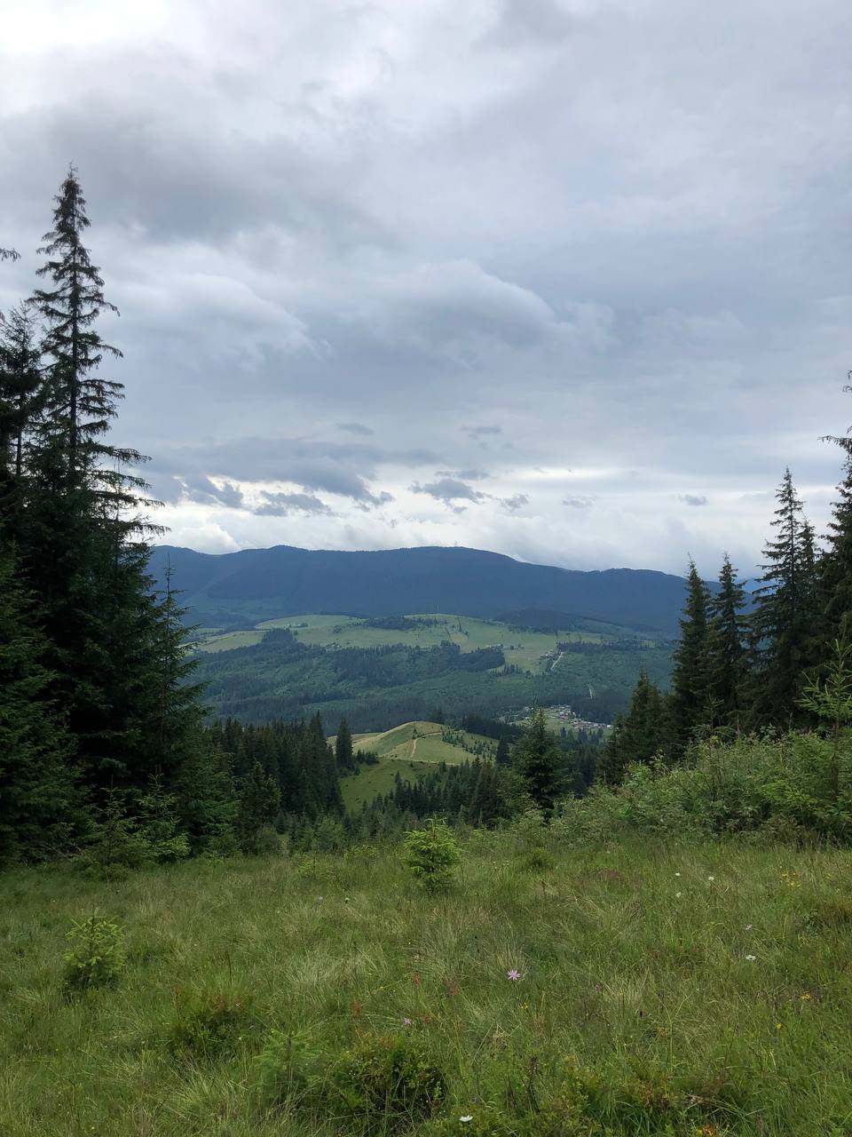 Маршрут ДІЛ